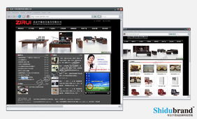 北京网站建设案例展示 洞察行业趋势，打造卓越数字形象