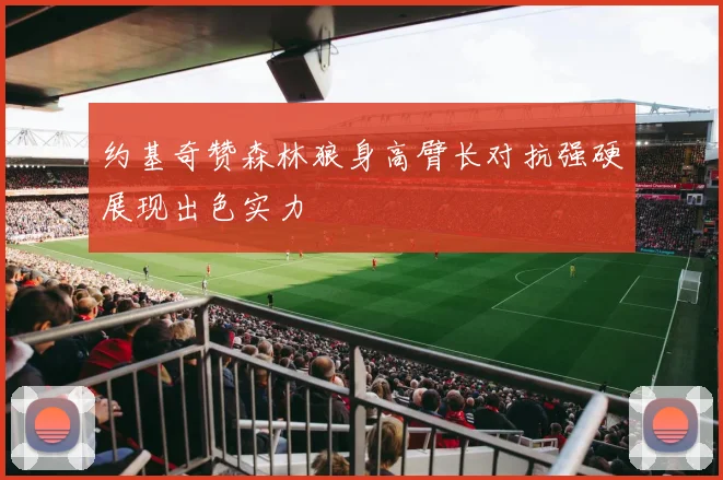 约基奇赞森林狼身高臂长对抗强硬展现出色实力