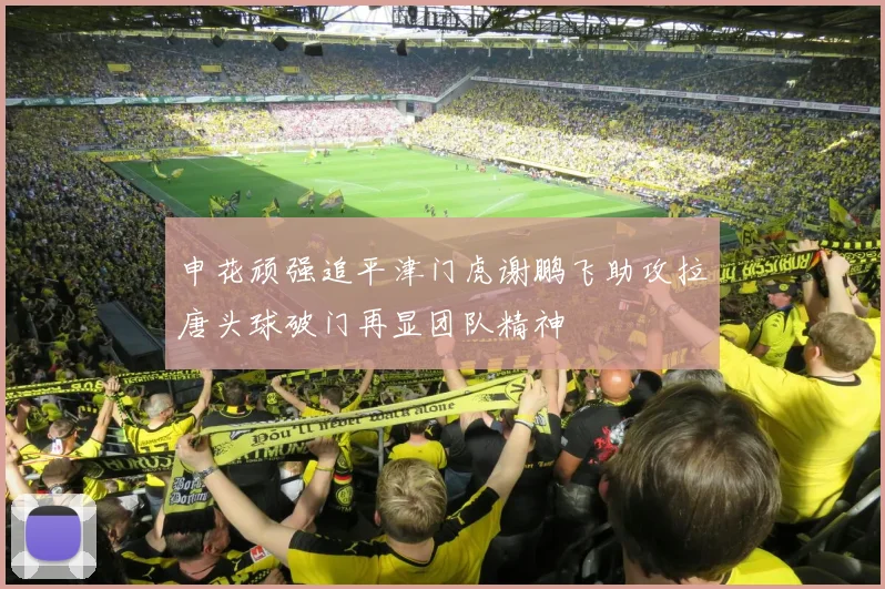 申花顽强追平津门虎谢鹏飞助攻拉唐头球破门再显团队精神