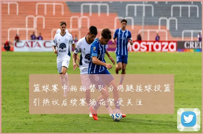 篮球赛中狗狗替队分鸡腿接球投篮引热议后续赛场花絮受关注